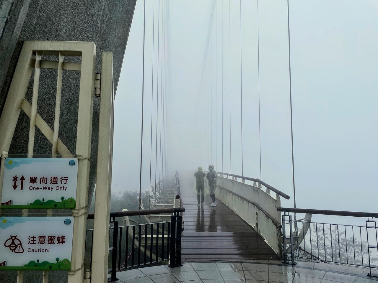 梅山 太平雲梯。雲霧繚繞的高空吊橋｜絕美山景盡收眼底
