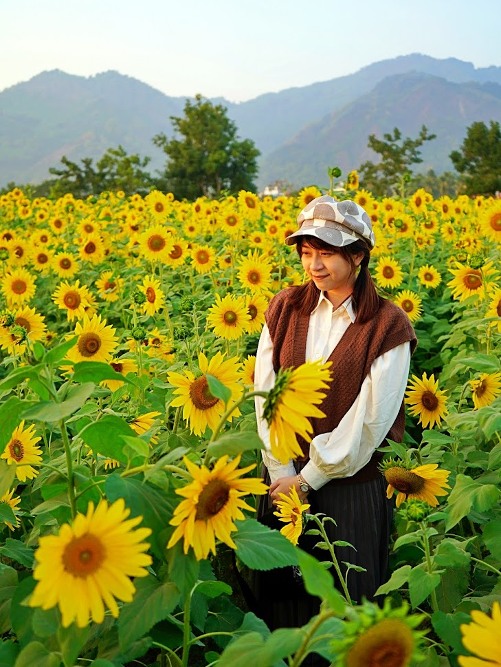 2023 高雄美濃花海|幸福翹翹來。美濃賞花景點、賞花情報|六大花區 31 image 601